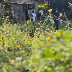 Azores Beekeeping Experience
