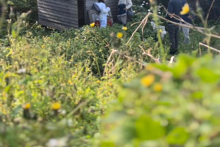 Azores Beekeeping Experience