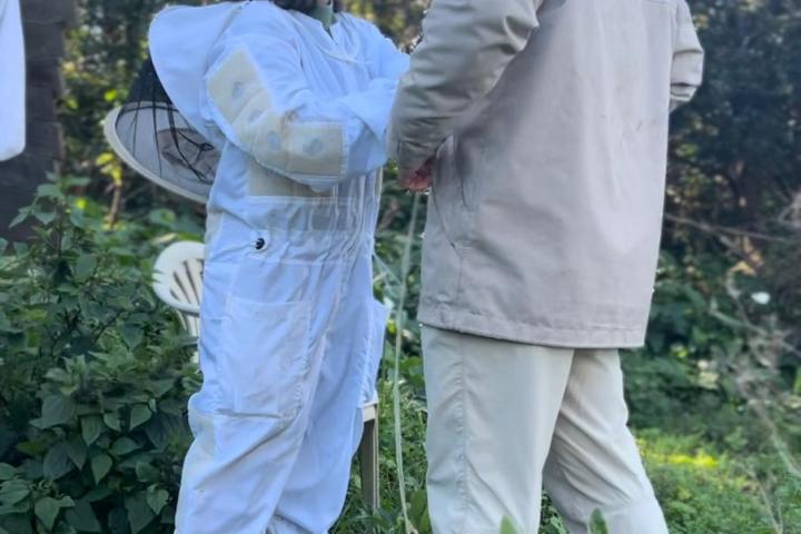 Azores Beekeeping Experience