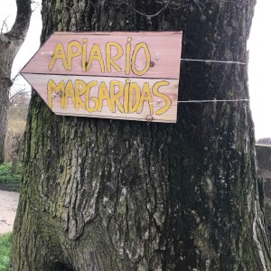 Azores Beekeeping Experience