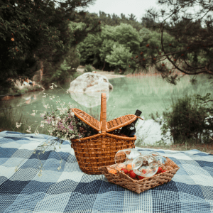Serra da estrela picnic tour