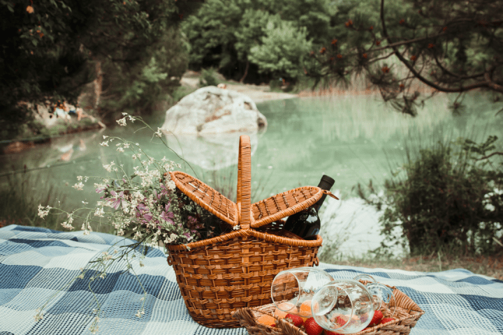 Serra da estrela picnic tour