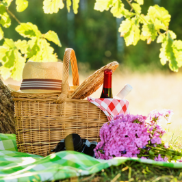 Serra da estrela picnic tour