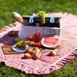 Serra da estrela picnic tour