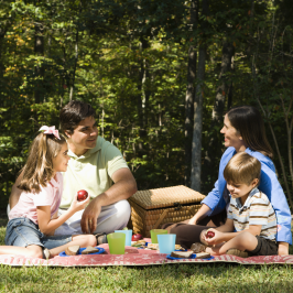 Serra da estrela picnic tour