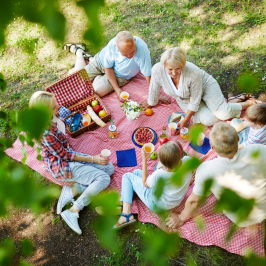 Serra da estrela picnic tour