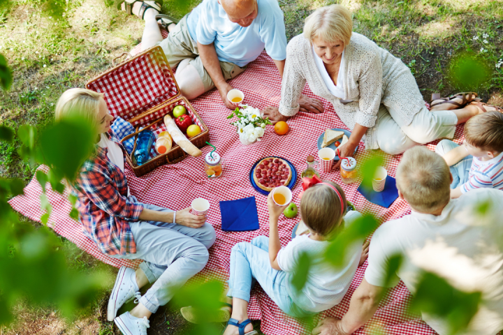 Serra da estrela picnic tour