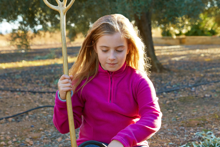 Olive Oil Pick & Taste