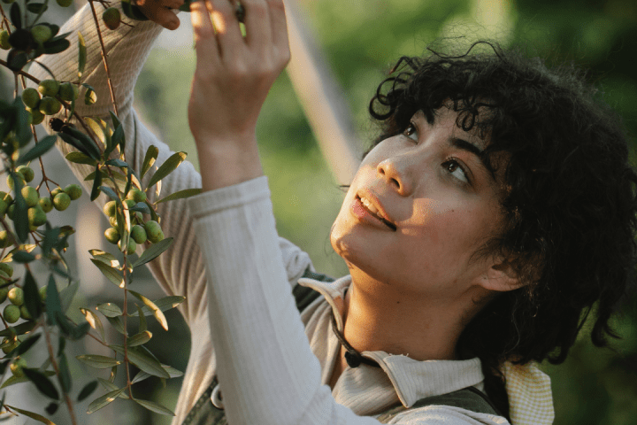 Olive Oil Pick & Taste