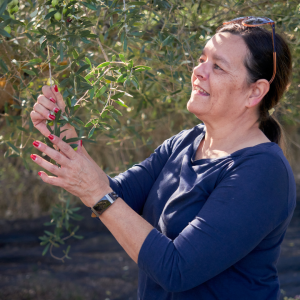 Olive Oil Pick & Taste