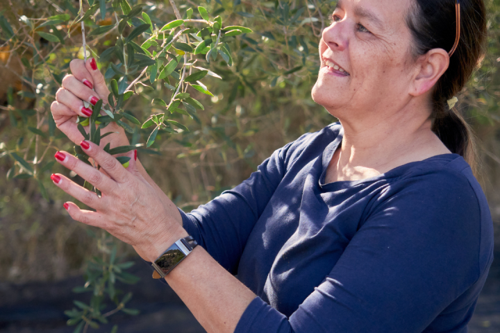 Olive Oil Pick & Taste