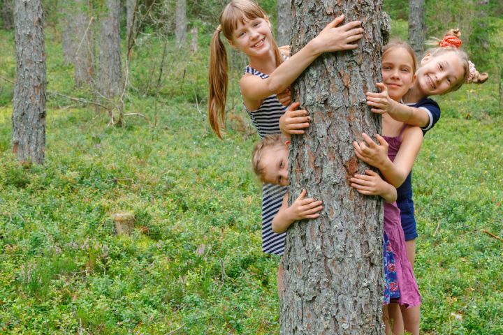 Pine Nuts Farm Experience