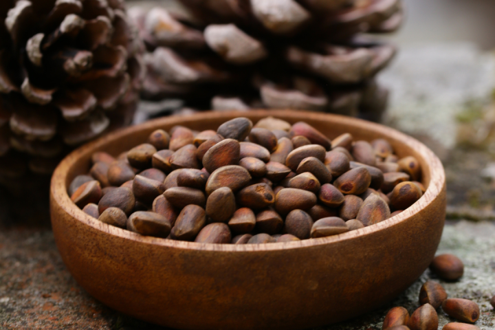 Pine Nuts Farm Experience