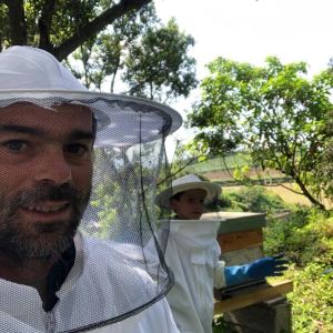 Beekeeping tour in Azores