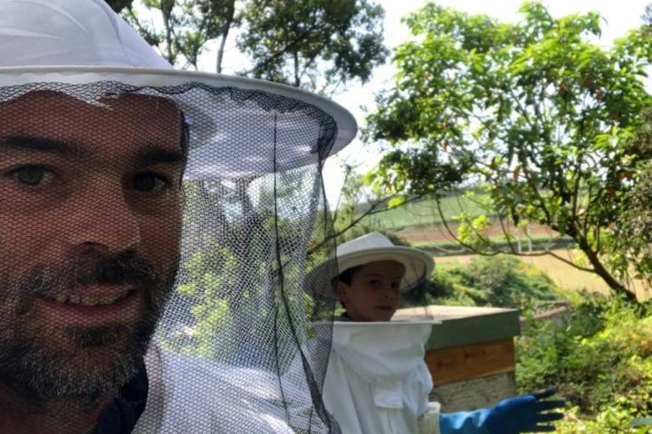 Beekeeping tour in Azores