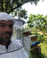 Beekeeping tour in Azores