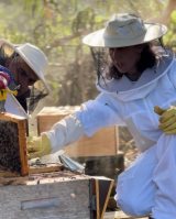 Beekeeping tour in Azores
