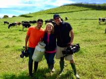 Azores dairy farm tour