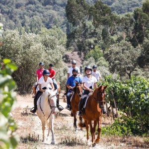 Horseback Riding tour