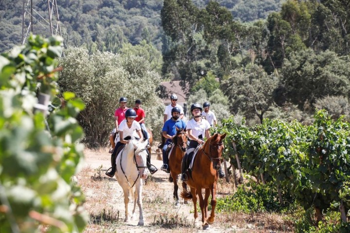 Horseback Riding tour