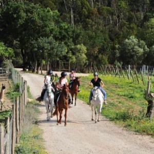 Horseback Riding tour