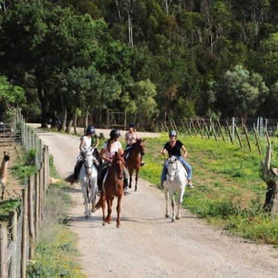 vineyard horseback riding tour near Lisbon Portugal