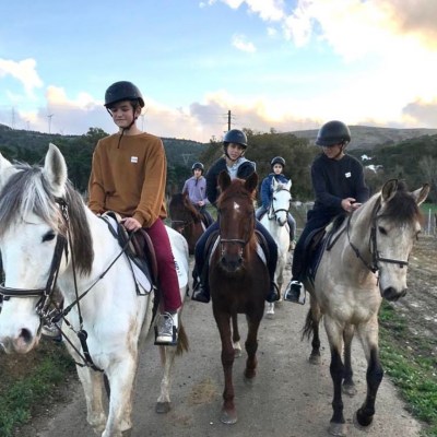 vineyard horseback riding tour near Lisbon Portugal