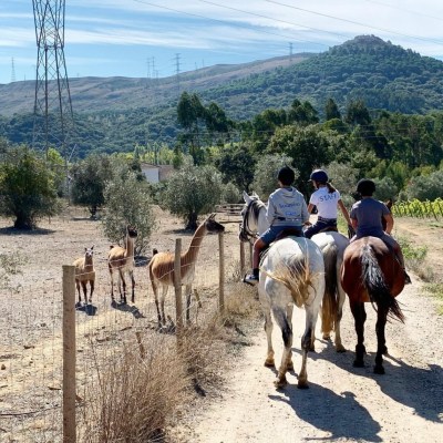 horseback riding and wine tasting tour near Lisbon Portugal