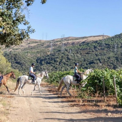 horseback riding and wine tasting tour near Lisbon Portugal