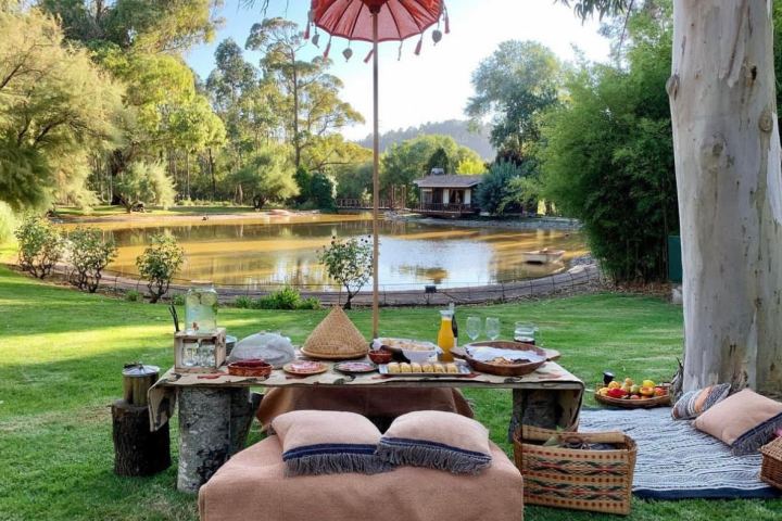 Horseback Riding tour with picnic