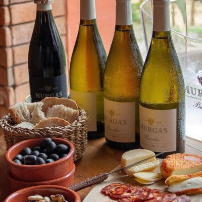 horseback riding and wine tasting tour near Lisbon Portugal