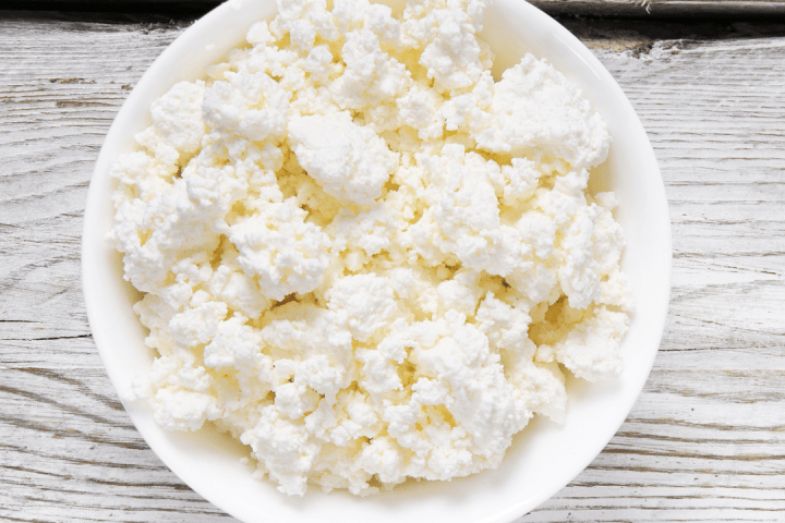 Goat Cheese Making Experience