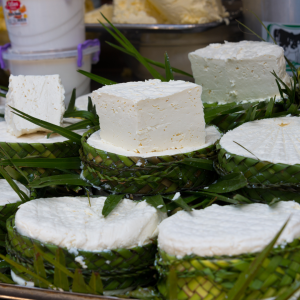 Goat Cheese Making Experience