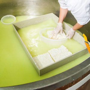 Goat Cheese Making Experience