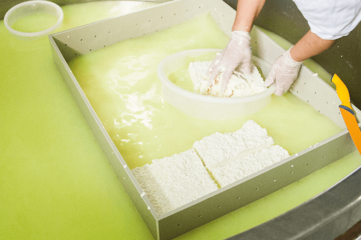 Goat Cheese Making Experience