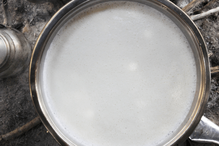 Goat Cheese Making Experience