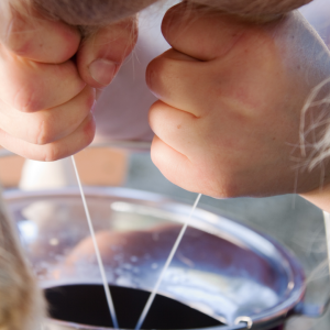 Goat Cheese Making Experience