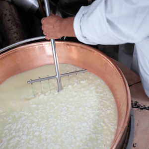 Goat Cheese Making Experience