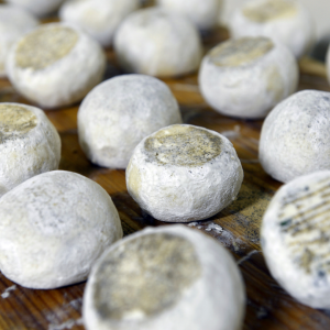 Goat Cheese Making Experience