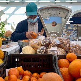 Silves Flavours Farm Tour