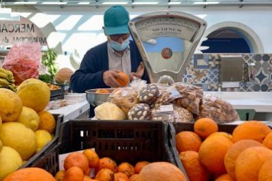 Silves Flavours Farm Tour