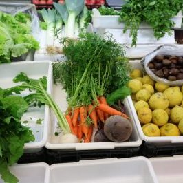 Silves Flavours Farm Tour