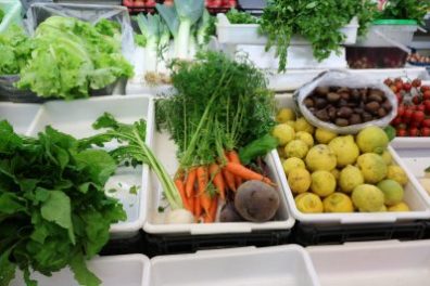 Silves Flavours Farm Tour