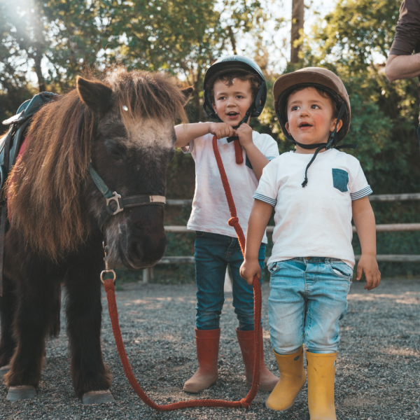 Pony ride for kids near Lisbon