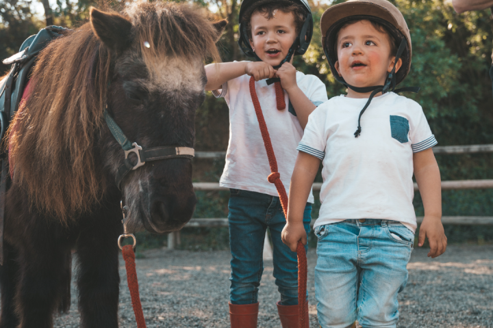 pony ride