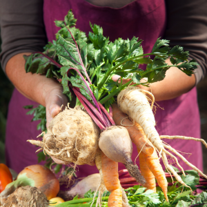 farm to table algarve tour