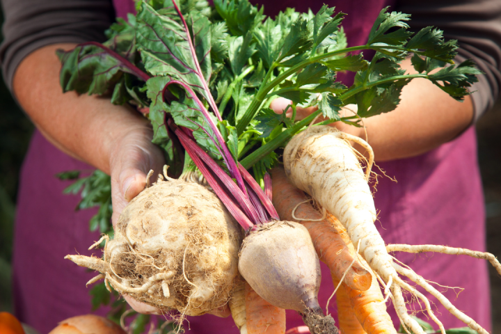 farm to table algarve tour