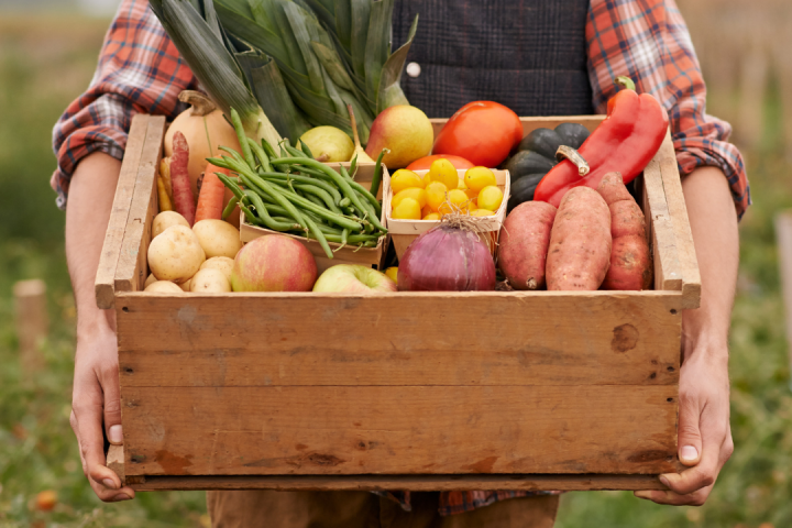 farm to table algarve tour