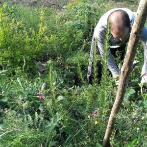 Peneda-Gerês Farm-to-Table tour