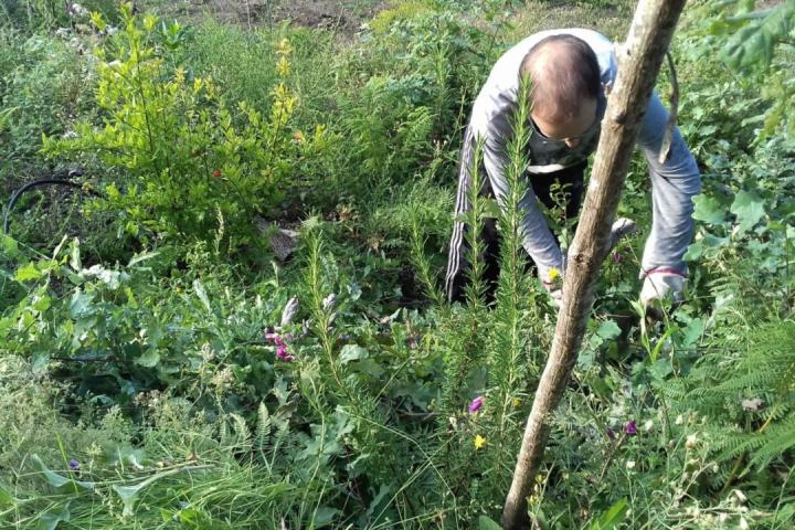 Peneda-Gerês Farm-to-Table tour